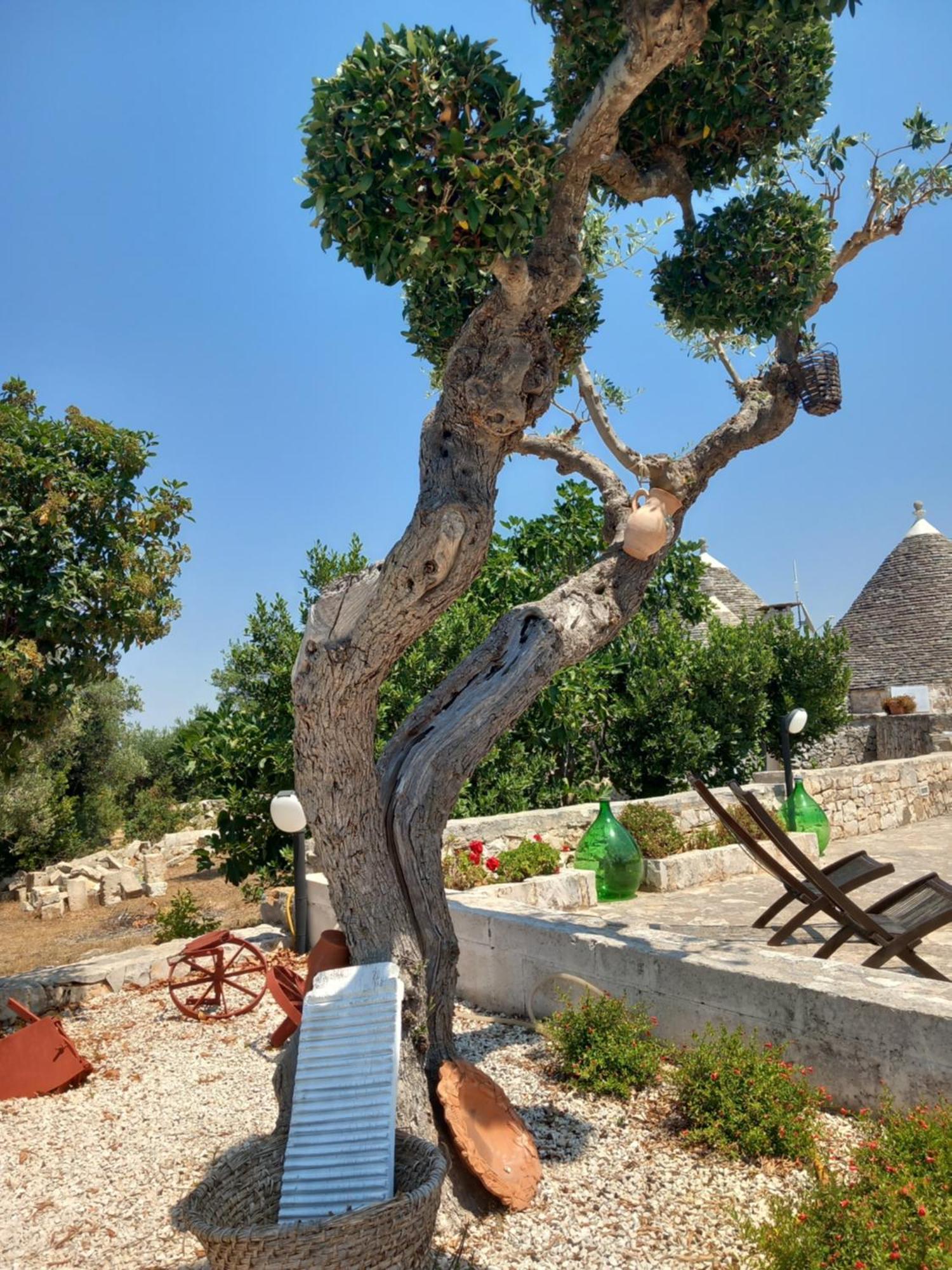 Trullo Monte Del Sale Pension Alberobello Buitenkant foto