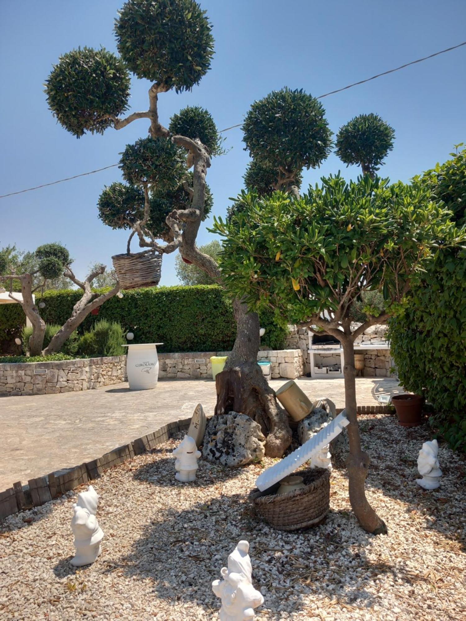 Trullo Monte Del Sale Pension Alberobello Buitenkant foto