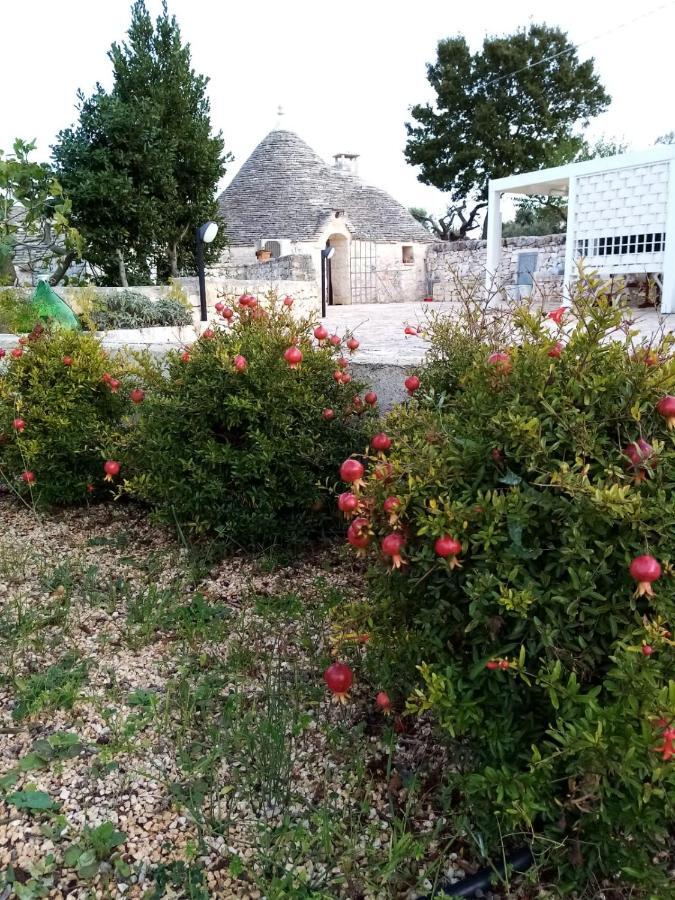 Trullo Monte Del Sale Pension Alberobello Buitenkant foto